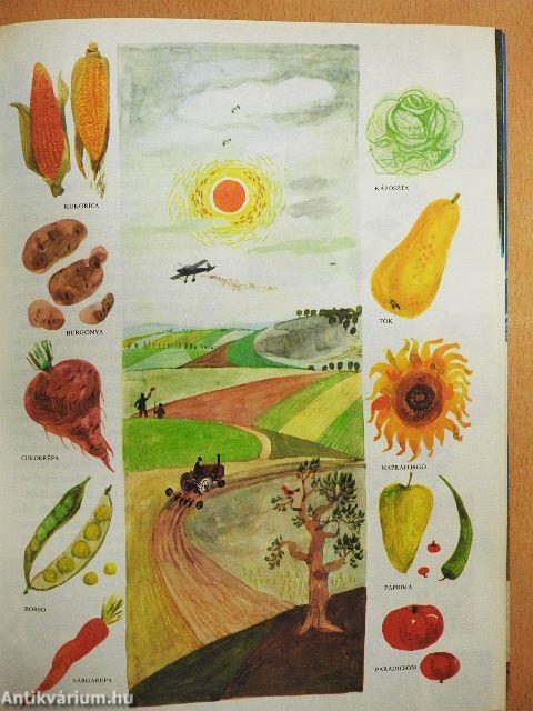 A világ és az ember