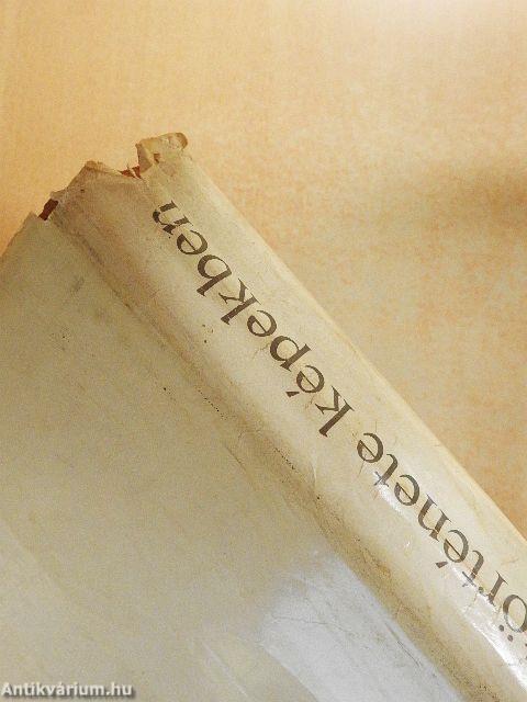 Magyarország története képekben