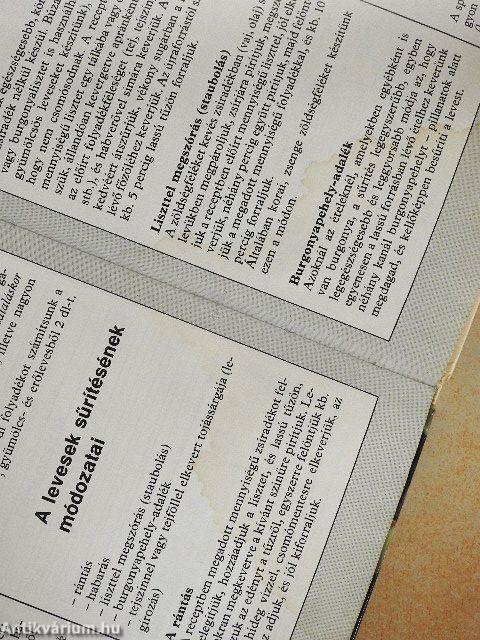 99 leves 33 színes ételfotóval