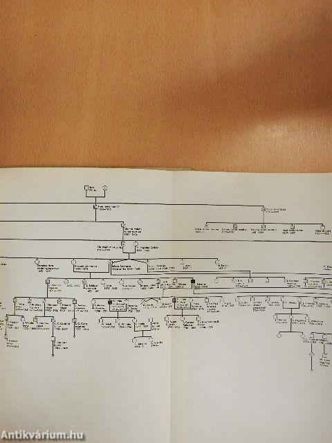 Az emberi öröklődés