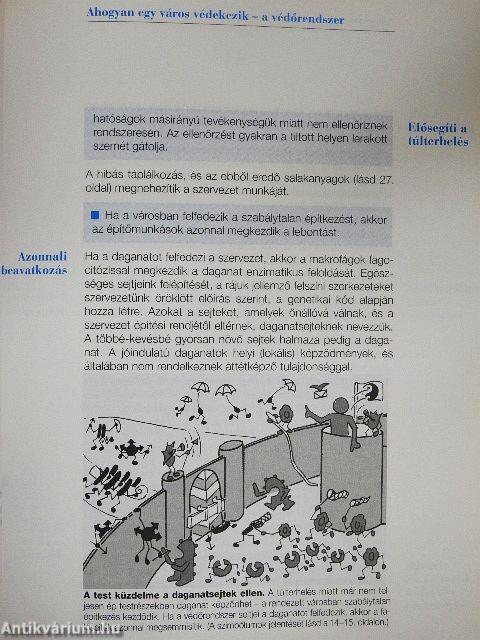 Az immunrendszer erősítése természetes módon