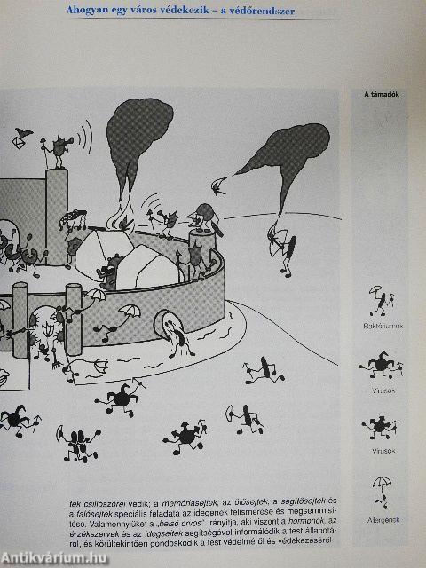 Az immunrendszer erősítése természetes módon