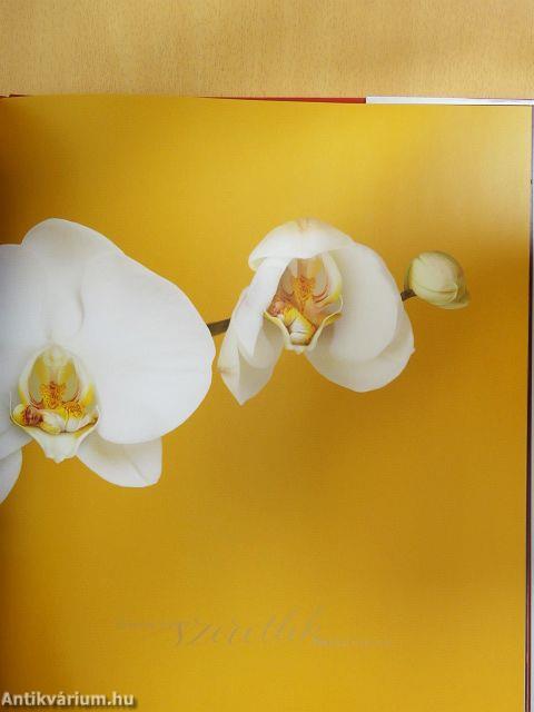 A születés csodája/Miracle - DVD-vel és CD-vel