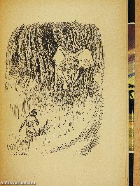 "30 kötet a Világjárók sorozatból (nem teljes sorozat)"