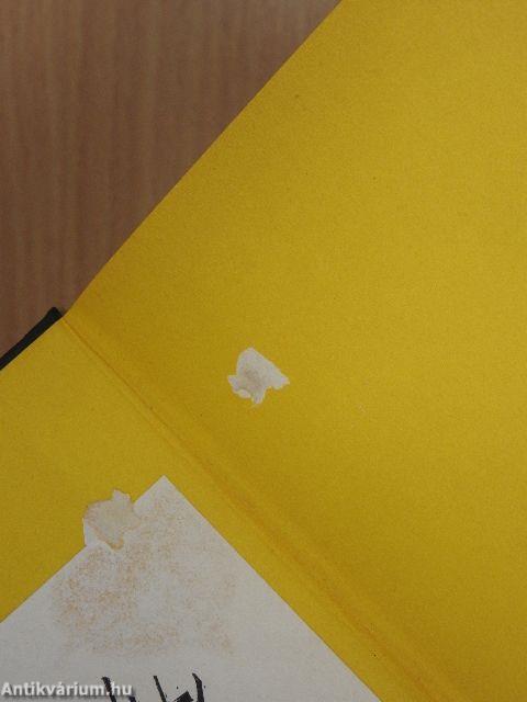 Egyetlen mondat törökül