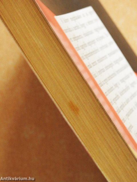 A német nyelvtan alapjai