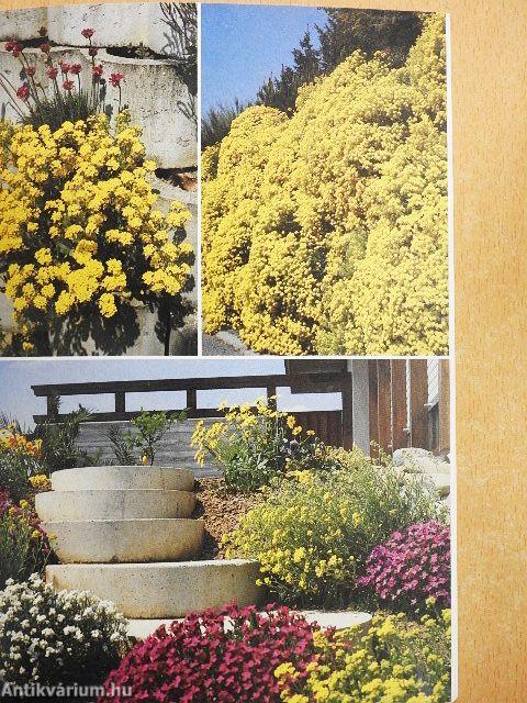 Sziklakertek - Függőkertek