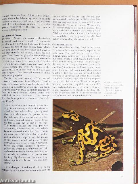 Animal Wonders of the World