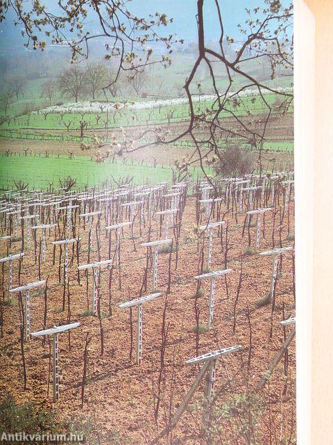 André Simon's Wines of the World