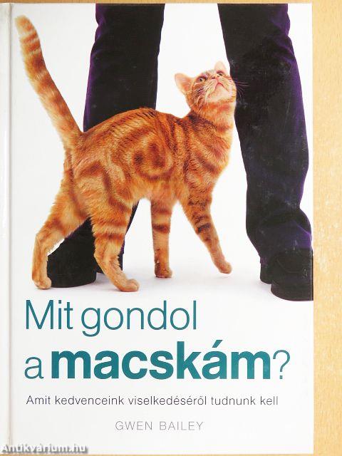 Mit gondol a macskám?