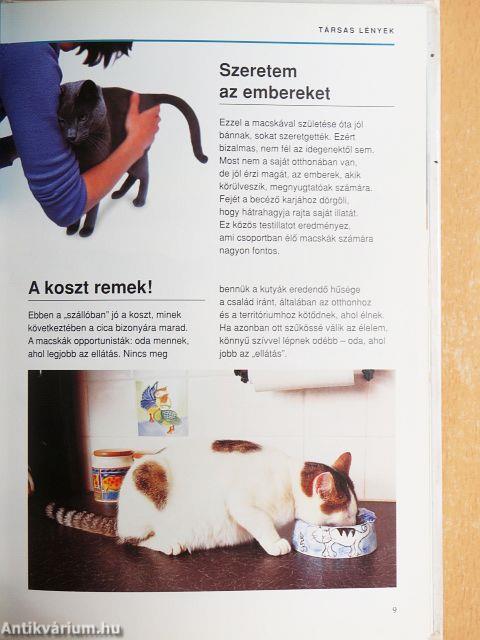 Mit gondol a macskám?