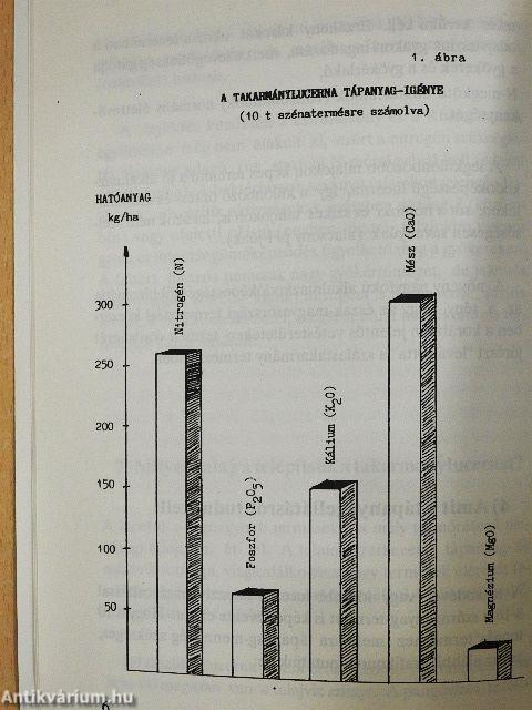 Lucernát - korszerűen!