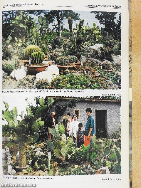 Debreceni Pozsgástár 2002/1-4.