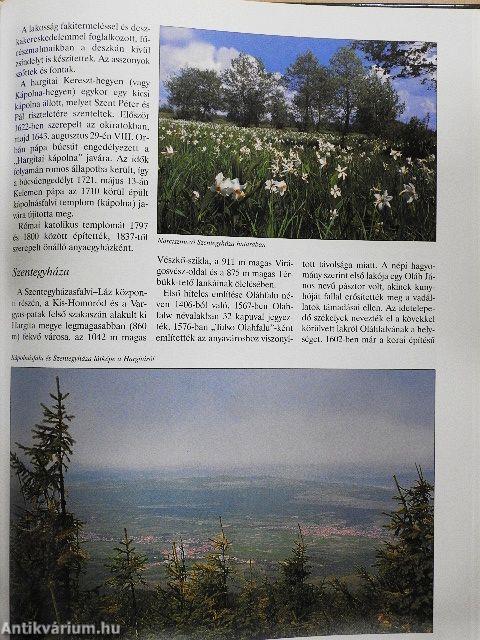 Erdély-Székelyföld - Homoródi-dombság