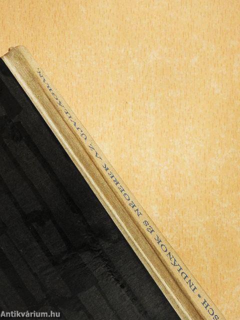 Indiánok és négerek az újvilágban