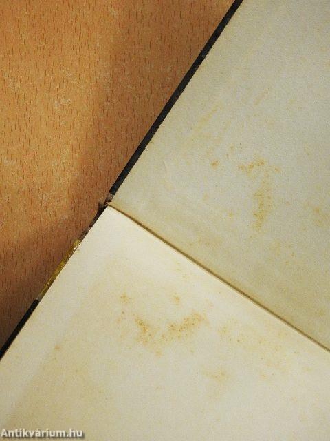 Indiánok és négerek az újvilágban