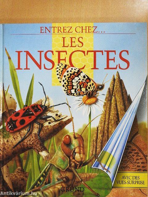 Les insectes