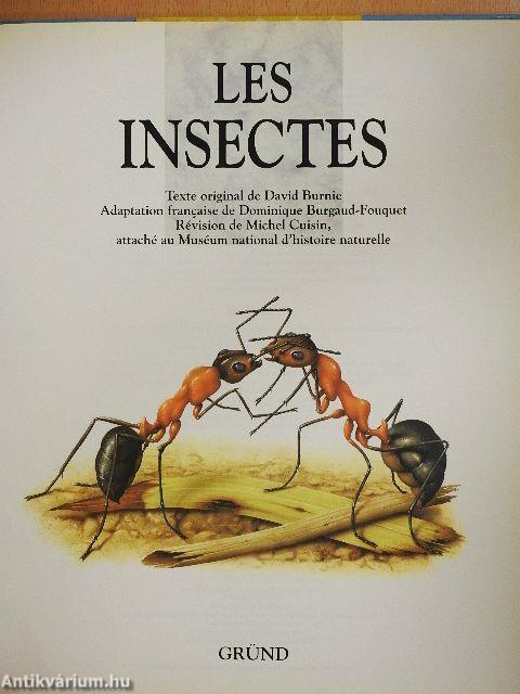Les insectes