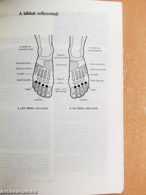 Reflexzóna-masszázs mindenkinek