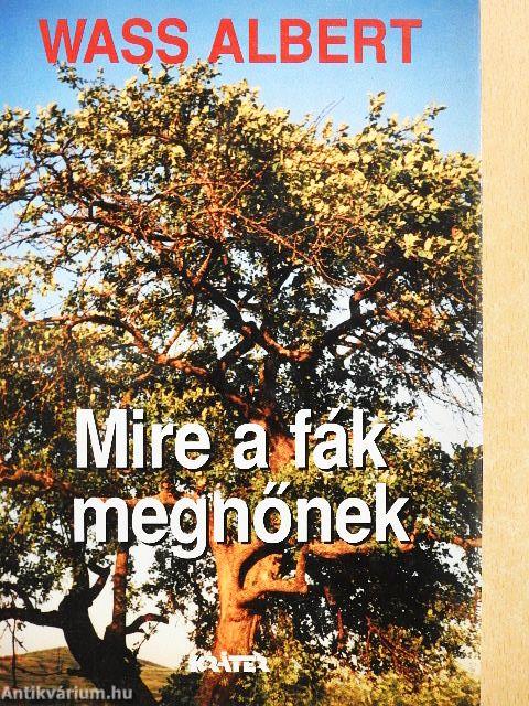 Mire a fák megnőnek