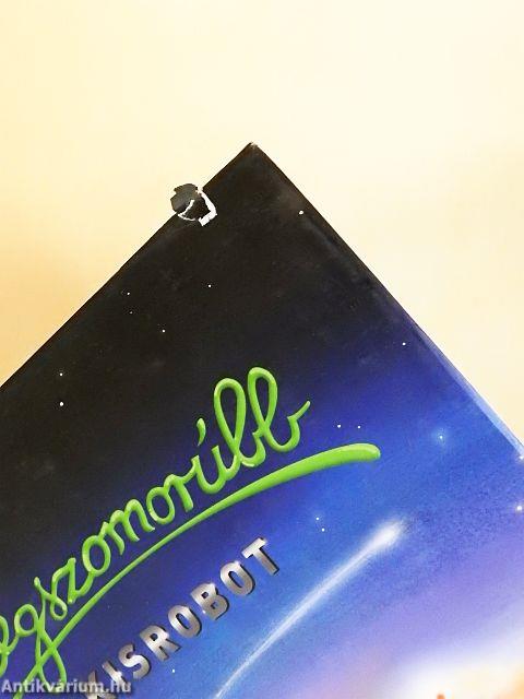 A legszomorúbb kisrobot