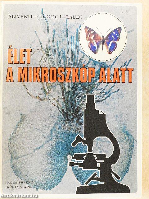 Élet a mikroszkóp alatt