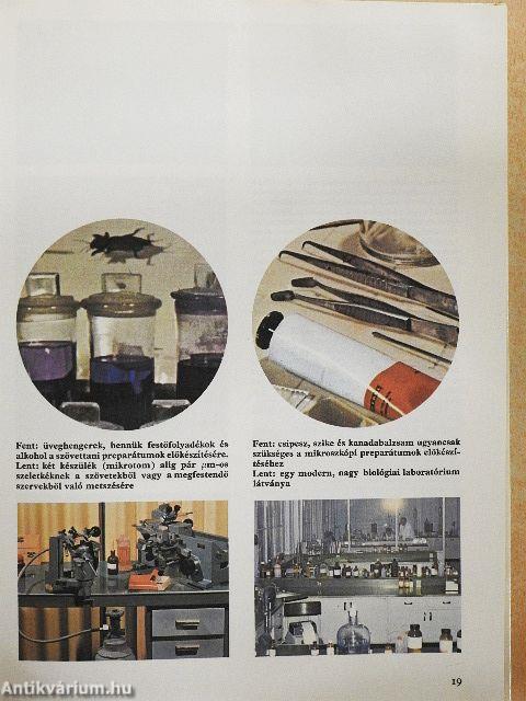 Élet a mikroszkóp alatt