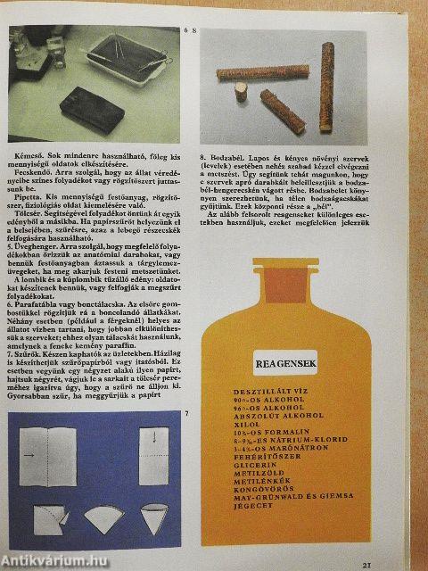 Élet a mikroszkóp alatt