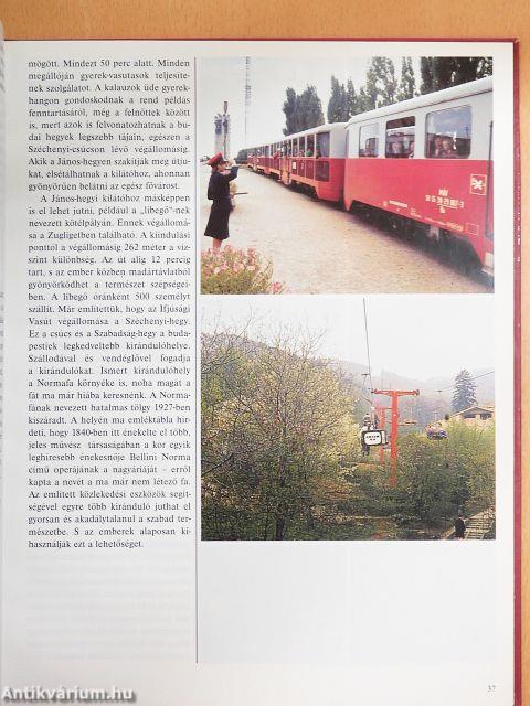 Pillantások a múltba