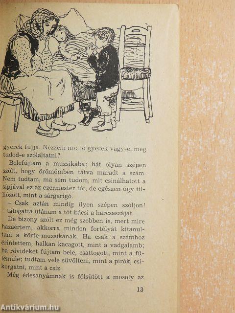 Kincskereső kisködmön