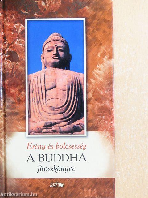 Erény és bölcsesség