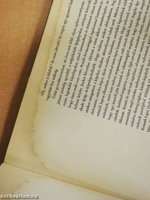 Ecsettel és irónnal