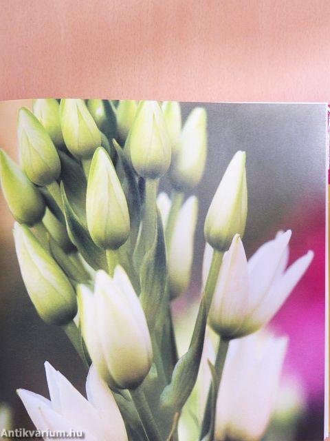 Az 500 legszebb kerti növény