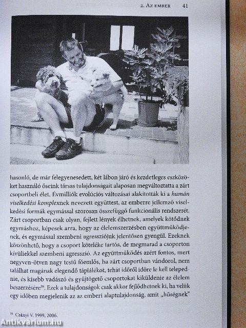 A kutyák szőrös gyerekek