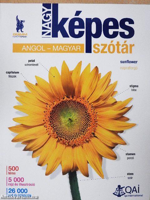 Nagy képes angol-magyar szótár