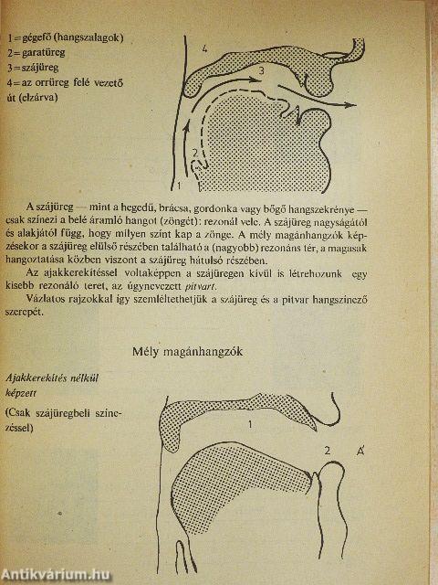 Beszédművelés