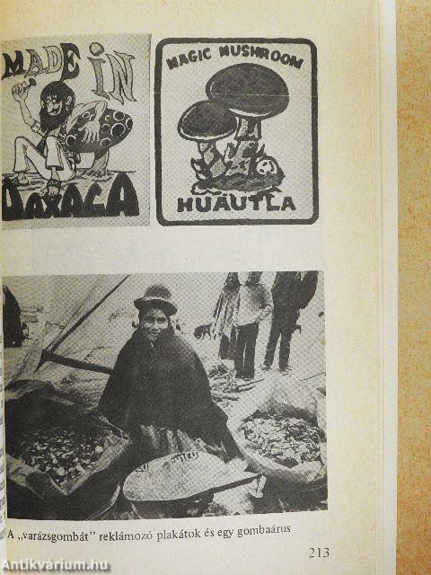 A kábítószerek világa