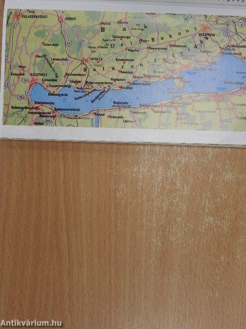 Balatoni kalauz '91 - Siófok