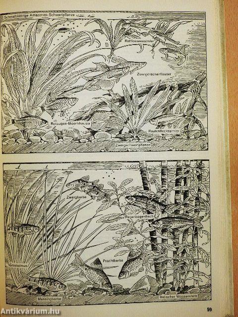 Aquarienpraxis kurz gefaßt