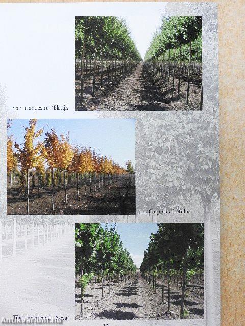 Faiskolai árjegyzék 2007-2008