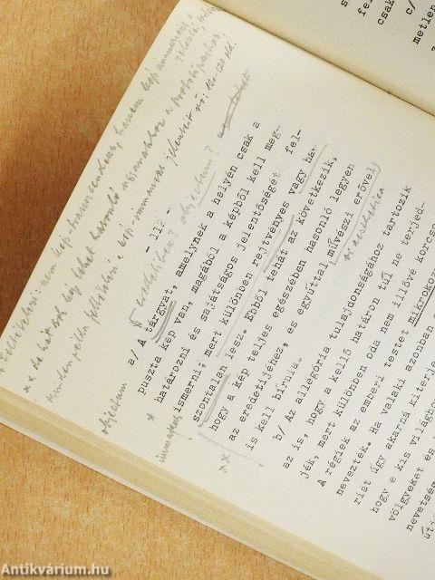 A magyar nyelv törvényeinek elemzése III.