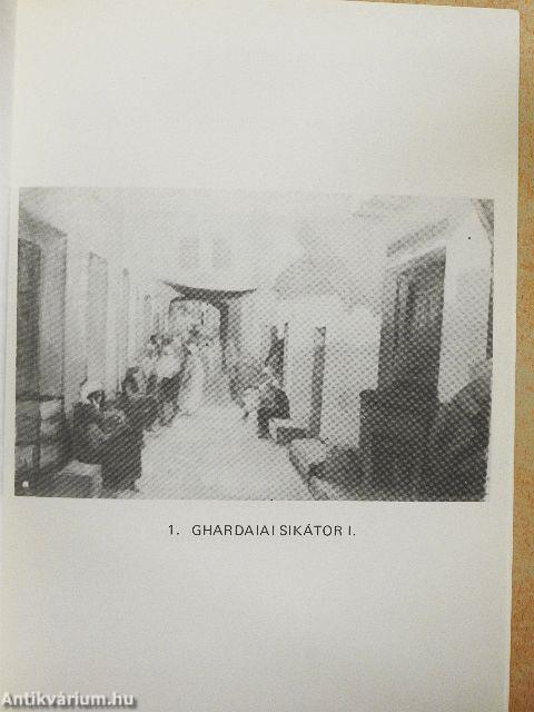 Határ János vallomása Afrikáról