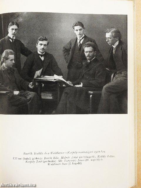 Visszatekintés I-II.