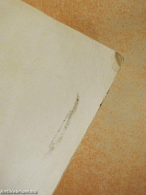 Nyugvó rendszerek mechanikája