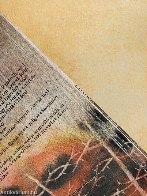 Öt év a szögesdrót mögött