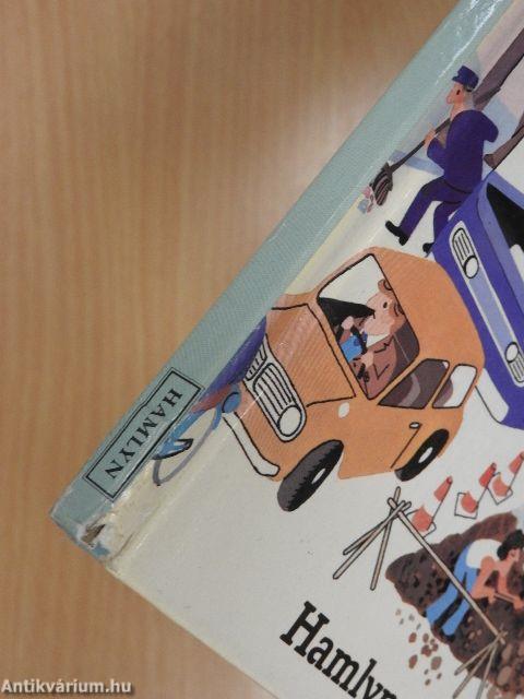 The Word Finder Picture Book