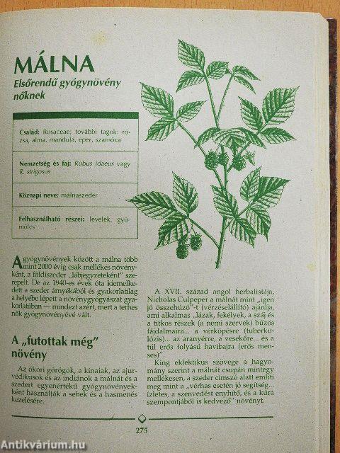 Gyógynövény enciklopédia