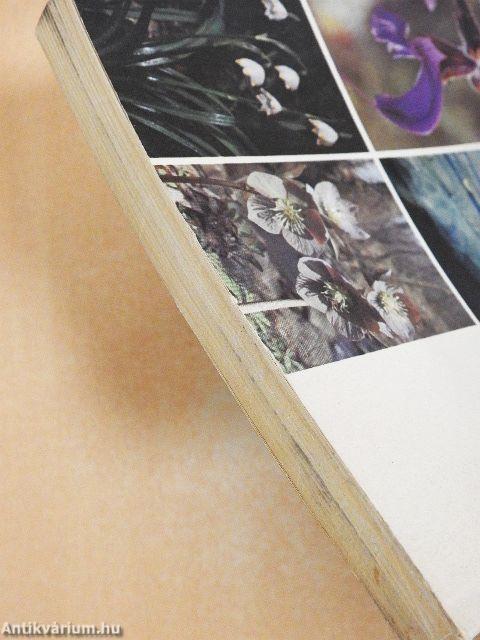 Kis növényhatározó rendszertani és ökológiai tájékoztatóval