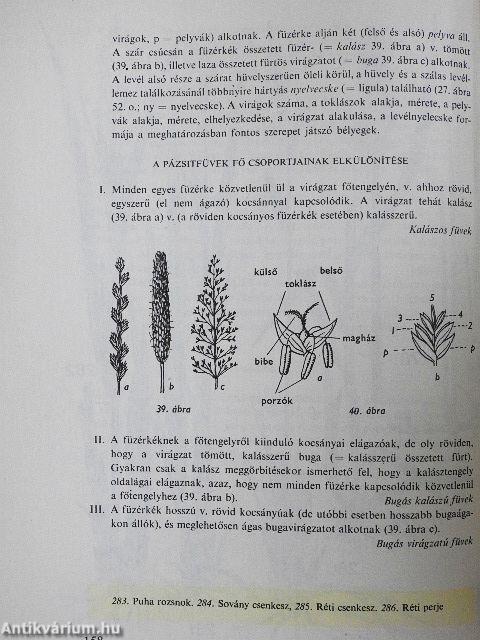 Kis növényhatározó rendszertani és ökológiai tájékoztatóval