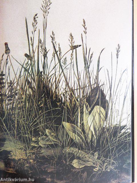 Gemälde erzählen Geschichten